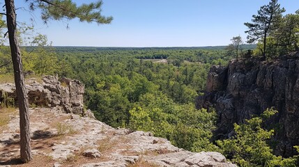 Panoramic view from a rocky outcrop overlooking a lush forest