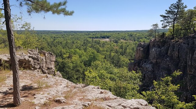Panoramic view from a rocky outcrop overlooking a lush forest - Powered by Adobe