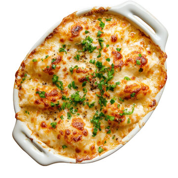 Chicon au gratin [Transparent Background PNG ].