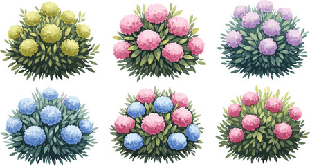 Top View of Blooming Flower Bushes, Colorful Garden Plants with Leaves, Vector Shrubs for Landscape Design, Nature, Floral Illustration