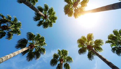 Palm trees reaching towards a vibrant blue sky