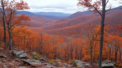Autumnal mountain vista, vibrant fall foliage