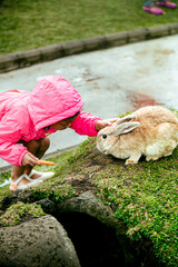 Asian little girl in pink jacket with a carrot in hand trying to feed a rabbit in a park