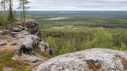 Rocky outcrop overlooking a vast boreal forest