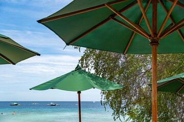 Row of umbrellas are set up on a beach, with the ocean in the background