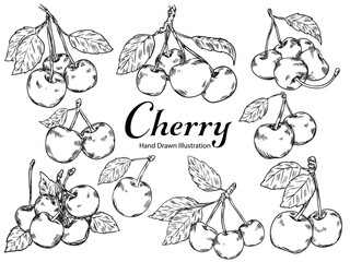 Set of hand drawn cherry outline drawing food illustration