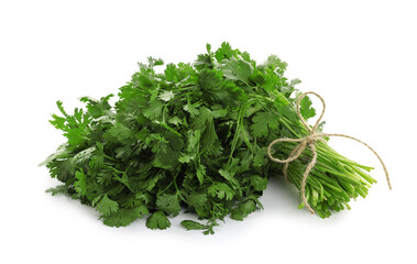 Bunch of fresh cilantro isolated on white