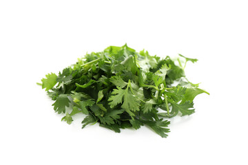 Pile of fresh cilantro sprigs isolated on white