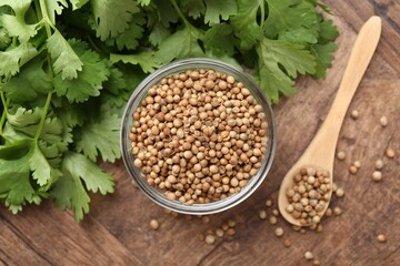 Fresh cilantro and coriander seeds on wooden table, top view