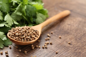 Fresh cilantro and coriander seeds on wooden table, closeup. Space for text