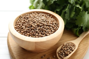 Coriander seeds and fresh cilantro on white wooden table, closeup