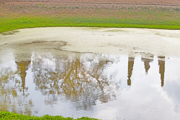 The reflection of a pagoda ,sky,and trees in the lotus pond.