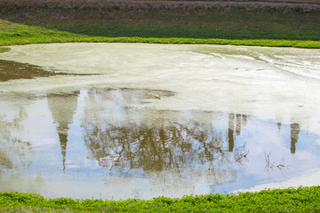 The reflection of a pagoda ,sky,and trees in the lotus pond.