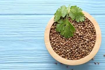 Coriander seeds and fresh cilantro leaves on light blue wooden table, top view. Space for text