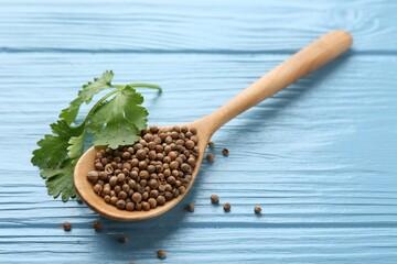 Coriander seeds, spoon and fresh cilantro leaves on light blue wooden table, closeup