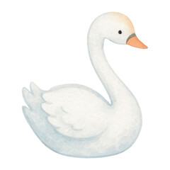 Obraz premium PNG Elegant watercolor swan illustration.