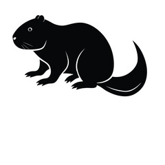 Silhouette of a person ziplining