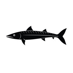 Distinctive silhouette of a barracuda long and torpedo-shaped with a pointed snout 