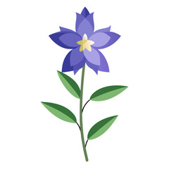 larkspur-flower-on-white-background