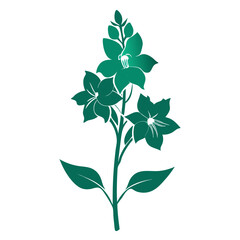 vector illustration of a plant