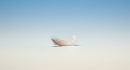 A light brown feather sits against a gradient of white to blue background