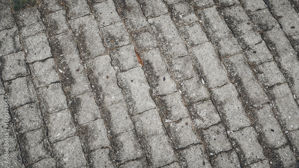 Poster surface patterns on paving blocks that are rough to touch but level, usually gray or black, and some