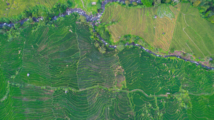 Aerial view of terraced paddy fields in Majalengka, Indonesia, showcasing vibrant green terraces, a winding river, and scattered huts amidst the verdant landscape.