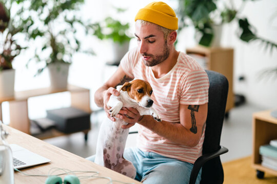 A young man in a yellow beanie and striped shirt sits at a desk, holding his small Jack Russell Terrier dog. He is focused on the dog, taking a break from his laptop. - Powered by Adobe