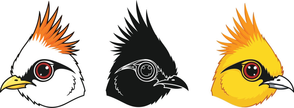 Three stylized bird heads showcase vibrant plumage and unique designs, offering a striking visual for ornithology enthusiasts and graphic design projects with a touch of avian charm.