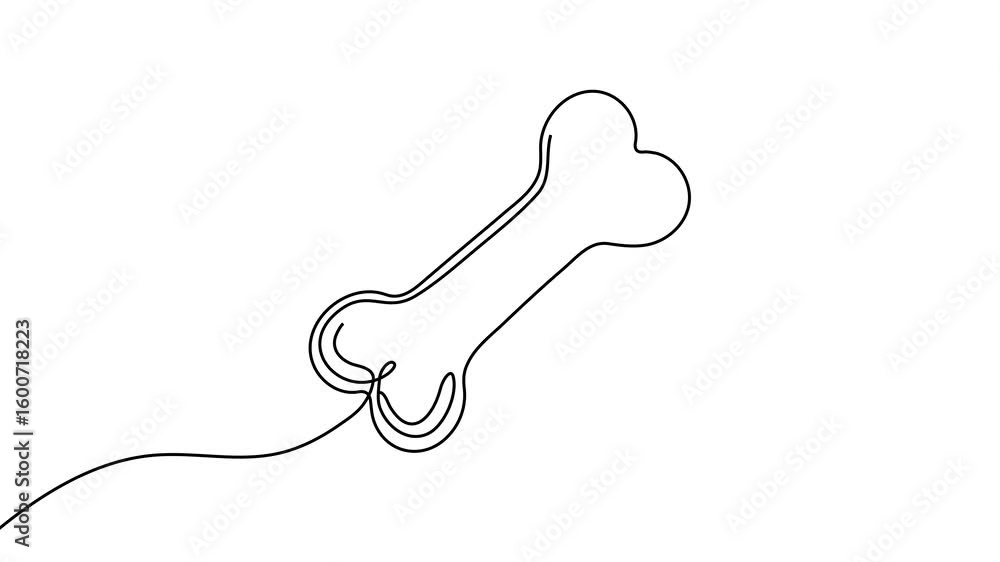 Poster animation of a bone drawing with one line. continuous contour movement of a bone. continuous video w