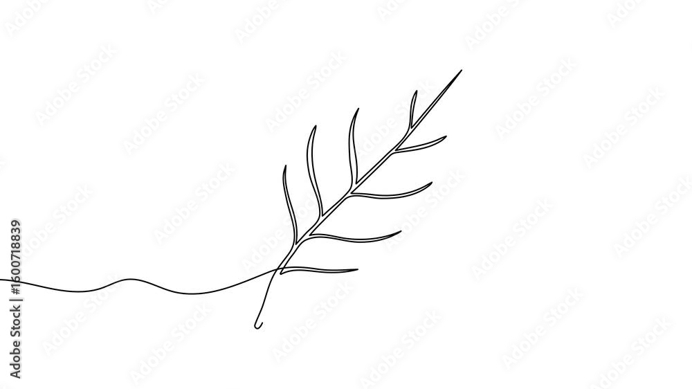 Poster animation of a single line drawing of a leaf. continuous contour movement of a leaf. continuous vide