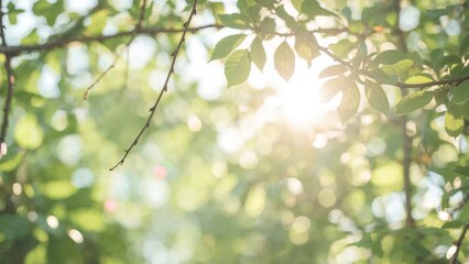 Summer-inspired nature bokeh texture and design