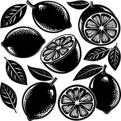 Stylized black and white lemon collection illustration