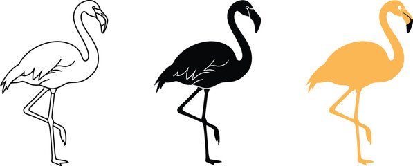 Three flamingo illustrations showcase line art, silhouette, and golden gradient styles, perfect for design projects, educational materials, and creative applications with tropical themes.