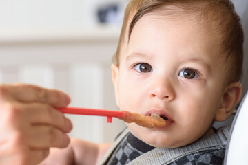 Baby in a high chair being spoon-fed by an adult, looking directly at the camera while eating puree...