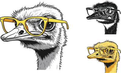 Three ostrich heads are presented in a stylish vector art composition, showcasing the bird with eyeglasses in various color schemes, perfect for creative designs and illustrations.