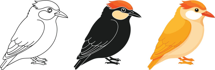 Three stylized bird illustrations showcase different stages of design, from a simple outline to a solid black silhouette and a fully colored version, ideal for educational or creative projects.