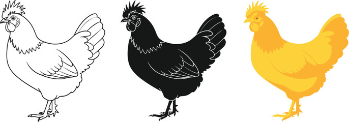 Three stylized chickens are presented in a row, showcasing different design styles including a line drawing, a solid black silhouette, and a vibrant yellow fill, perfect for farm themes.