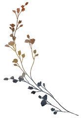 Watercolor dried grass leaves in brown tones, boho autumn wedding isolated illustration