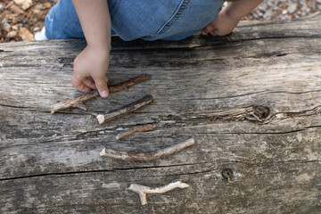 Overhead view of young girl arranging sticks on tree trunk during outdoor play in natural setting....
