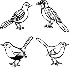 Set of Birds  Democratic Republic of the Congo and Birds, Bird Icons


