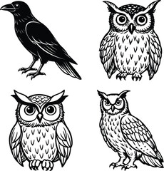 Set of Birds  Democratic Republic of the Congo and Birds, Bird Icons


