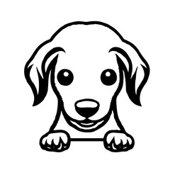 black dog vector illustration