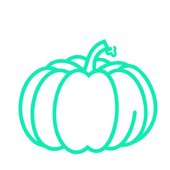 vector illustration of a pumpkin