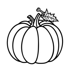 pumpkin on a white background