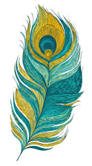 Obraz premium Detailed peacock feather graphic