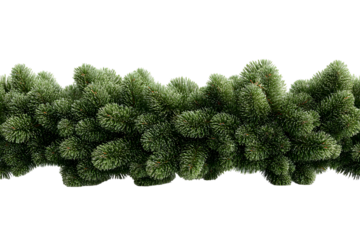 Lush Fir Garland against transparent backdrop showcasing Christmas Elegance and Decoration
