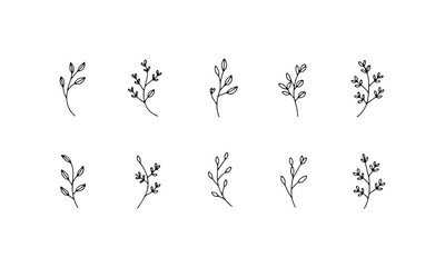 Thin single-line branches with a clean and modern aesthetic. Ideal for subtle backgrounds, surface patterns, or brand elements that require light, airy visuals without visual clutter.