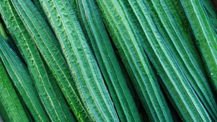 Luffa Acutangula Vegetable Texture
