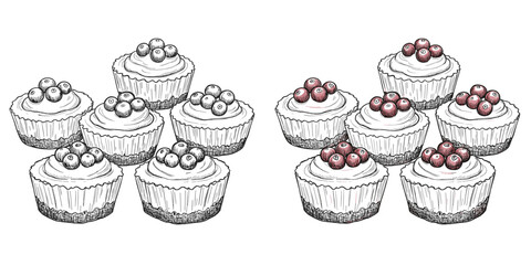 Mini Cheesecakes with Cranberry & Cream Topping, monochrome vector sketch. Festive dessert, autumn treats concept. For food blogs, holiday recipes, cafe promotions